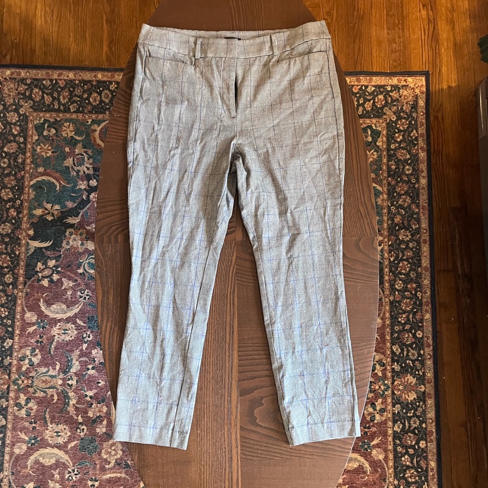 Brand New Loft Slacks